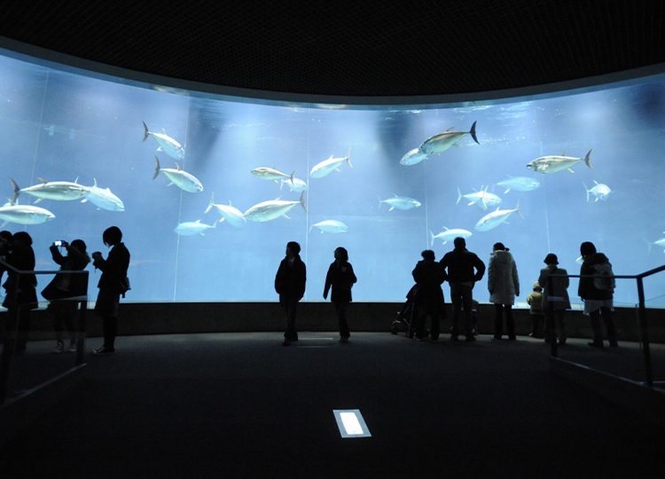 葛西臨海水族園