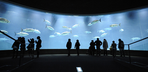 葛西臨海水族園