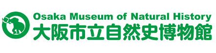大阪市立自然史博物館オンラインチケット